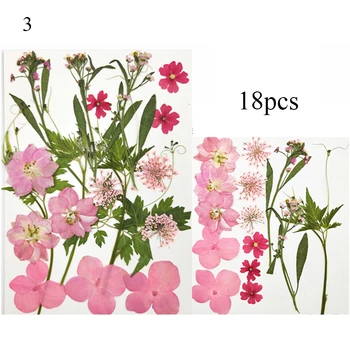 1Pack Real de Flori Uscate Naturale, Plante Uscate Pentru Lumânare Epoxidice Rășină Pandantiv Colier Bijuterii de Luare de Artizanat DIY Accesorii