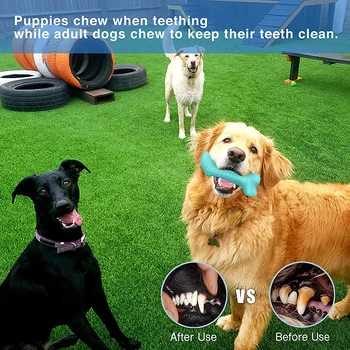Benepaw Alimente Puternic De Distribuire Câine Os Non-Toxice Interactive Trata Catelus De Companie Jucării De Cauciuc Natural Squeaker Mestecat Stick