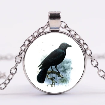 SONGDA Goth Animal Raven Colier Personalitate Cioara de Carte de Lectură Creative Model de Sticlă de Înaltă Calitate Cabochon Coliere Pandantive