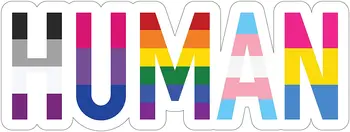 Omului LGBT+ Gay Pride Autocolant Curcubeu Lesbiene Bisexuali Asa Transgender Pavilion Vinil Autocolant Decal Camion Masina Barei de protecție 18cm
