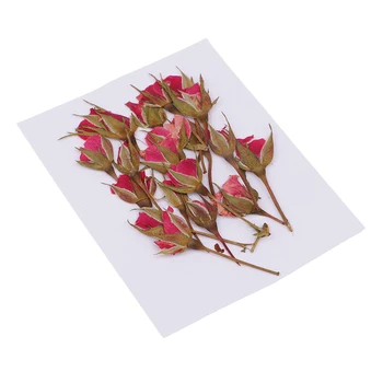 20 de Piese Presate Naturale Reale Flori Uscate de Flori de Trandafir pentru DIY Rășină Ornament Ambarcațiuni de Crăciun Xmas Card de Luare de Decor