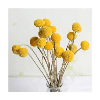 30pcs Uscate Craspedia Flori Uscate Billy Butonul Bile de Flori Artificiale Fals Mătase Galben Flori Pentru Decor Decor Cameră
