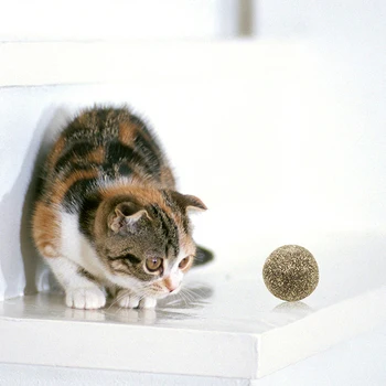 Animal de casă Pisică Naturale Catnip Trata Pisica Minge urmarind activitatea minge de hrană pentru animale de Companie pisica gustări Pisica iarba mingea Cat răcoritoare emoție