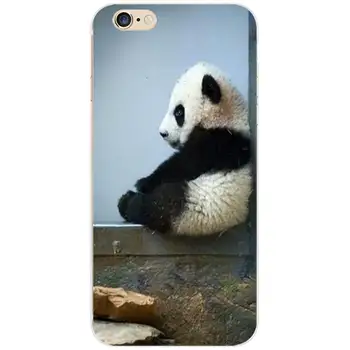 China Urs Panda Copii Baby Panda Temă TPU Cazuri de Telefon Silicon Cover Photo Imagine Pentru iPhone 6 7 8 S XR X Plus 11 Pro Max
